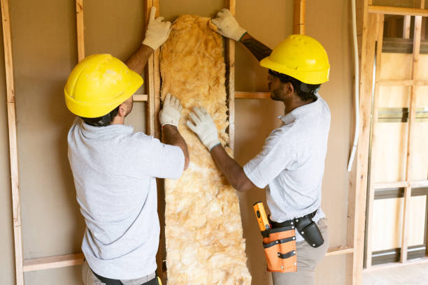 Best Insulation Air Sealing  in Mayville, MI